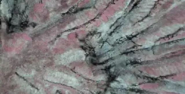 鰓霉病與水霉菌同屬于真菌類的魚病