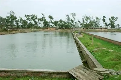 開春池塘水難肥，水質(zhì)差，致病菌復(fù)蘇，春季魚瘟，該怎么辦？ ...